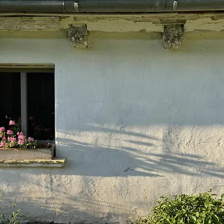 Kukabura Апартаменты Szarocin